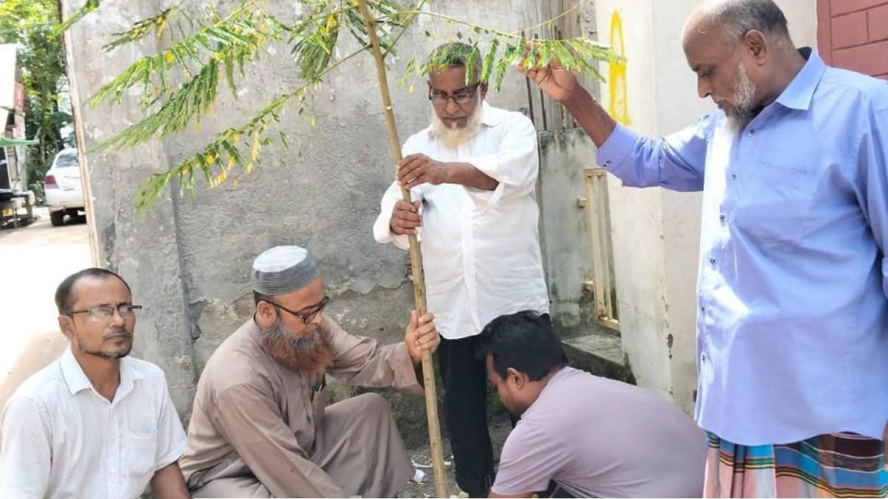 প্রধানমন্ত্রীর ২৫ কোটি চারা রোপণ কর্মসূচির অংশ হিসেবে চিলাদি সরকারি প্রাথমিক বিদ্যালয়ে বৃক্ষরোপণ