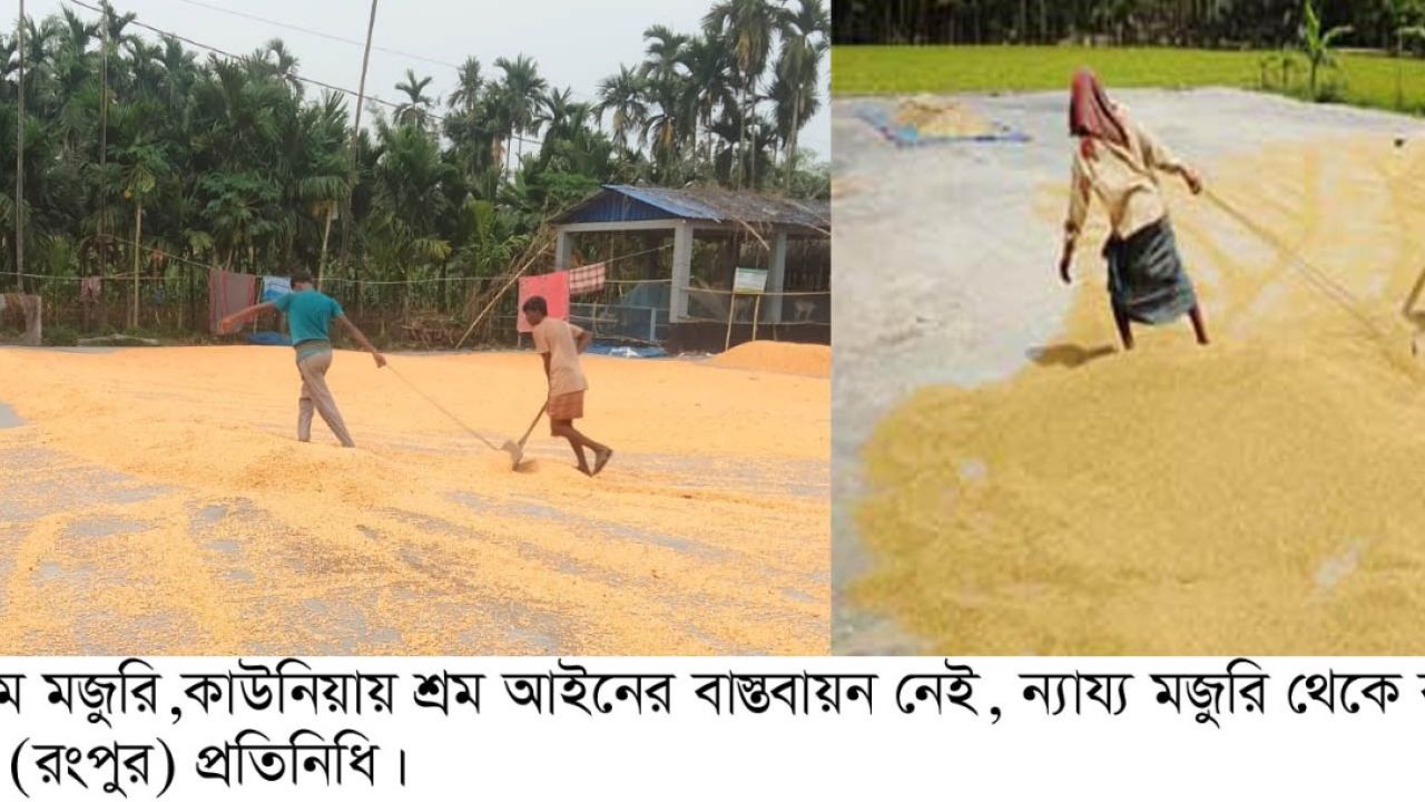কাউনিয়ায় নীরবে কাঁদছে শ্রম আইন  শ্রমিকদের ঘামে চলছে উৎপাদন, মিলছে না ন্যায্য মজুরি